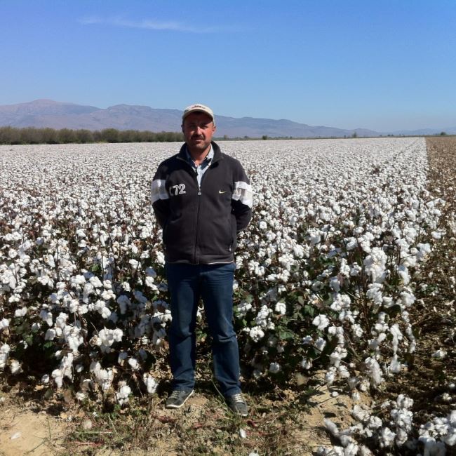 Features of Turkish Cotton